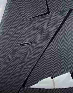 Domenico Gnoli Coat 1968 Collection Van Abbemuseum Eindhoven photo Peter Cox Pictoright Amsterdam 2026